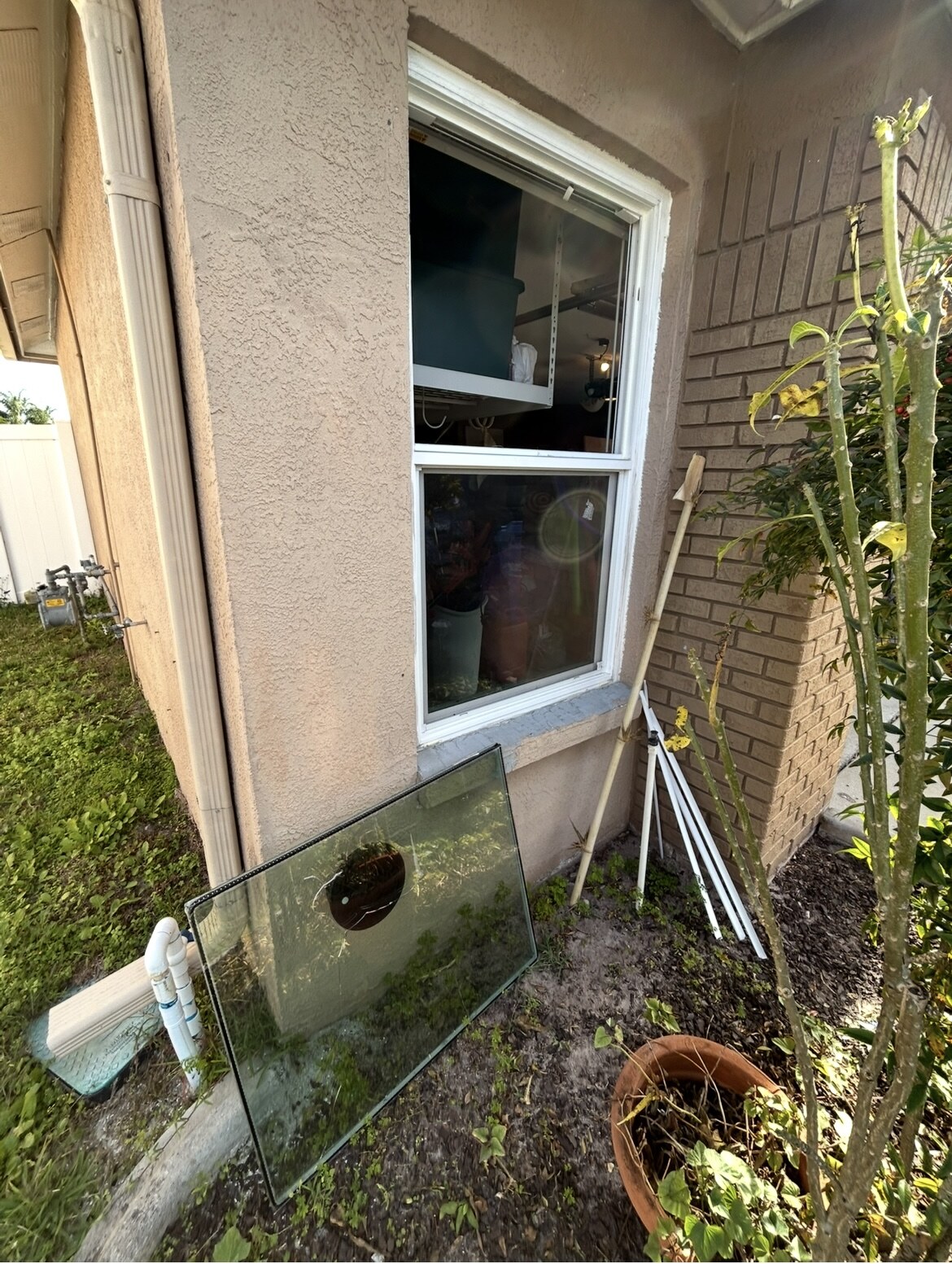 Residential window with existing glass removed for replacement